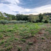 PESCARA ZONA SAN SILVESTRO