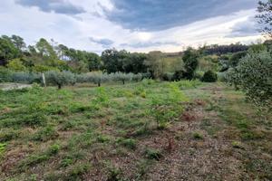 PESCARA ZONA SAN SILVESTRO