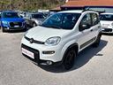 fiat-panda-1-3-mjt-4x4-2modelli-disponibili