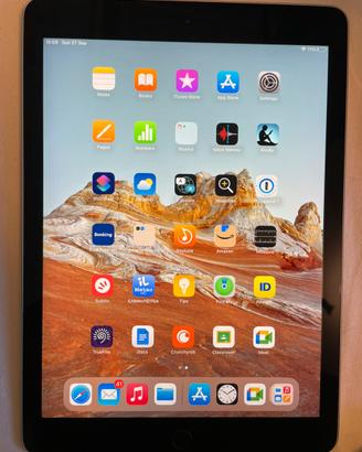 Apple ipad