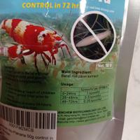 dose no planaria acquario