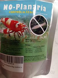 dose no planaria acquario