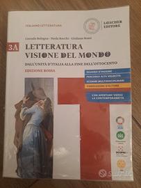Letteratura visione del mondo
