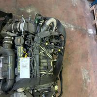 Motore FORD sigla G8D8 cc. 1.6 HDI  110cv  a.08