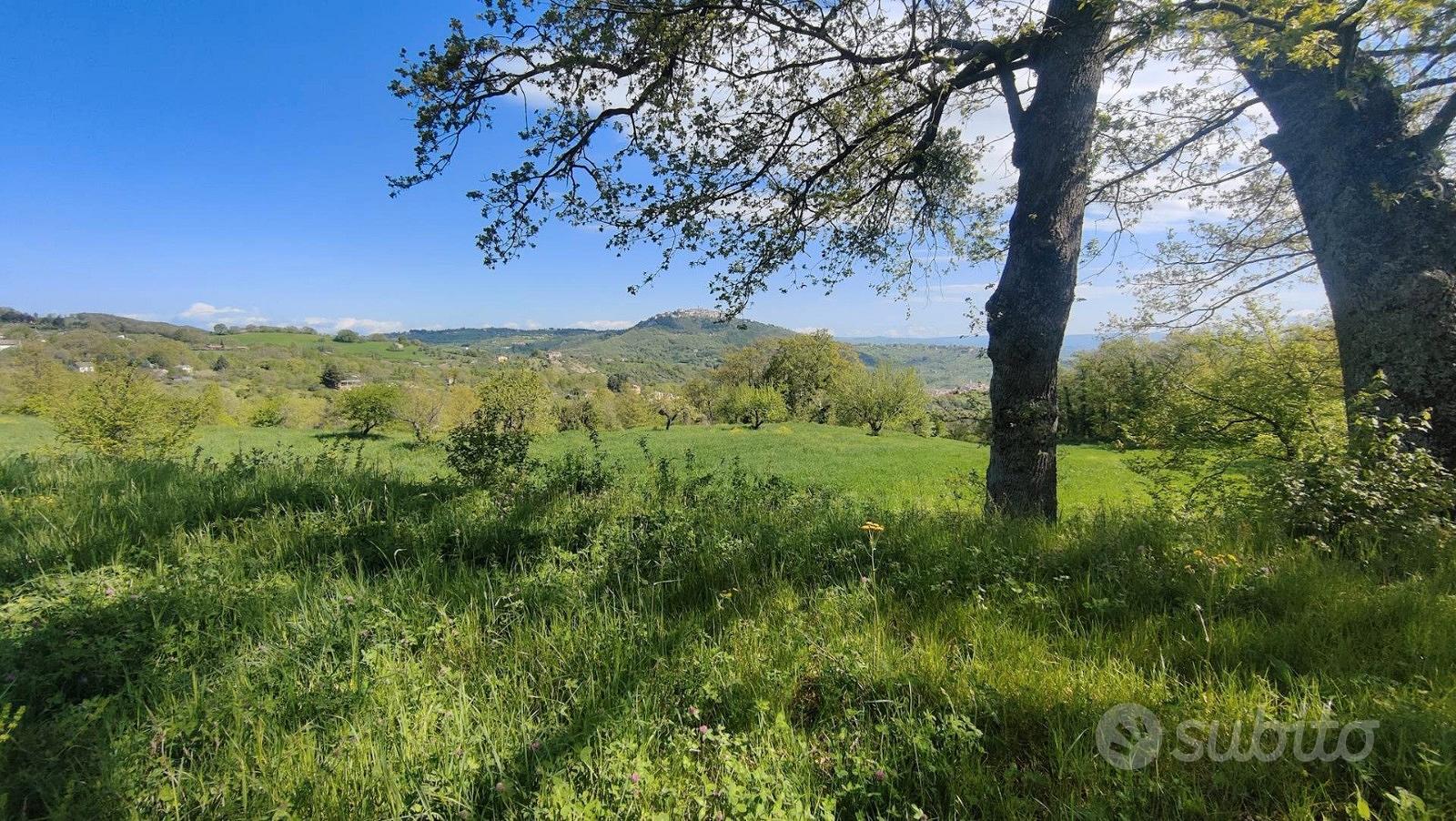 Appartamento – Mirabello Sannitico, Campobasso - Vista 3