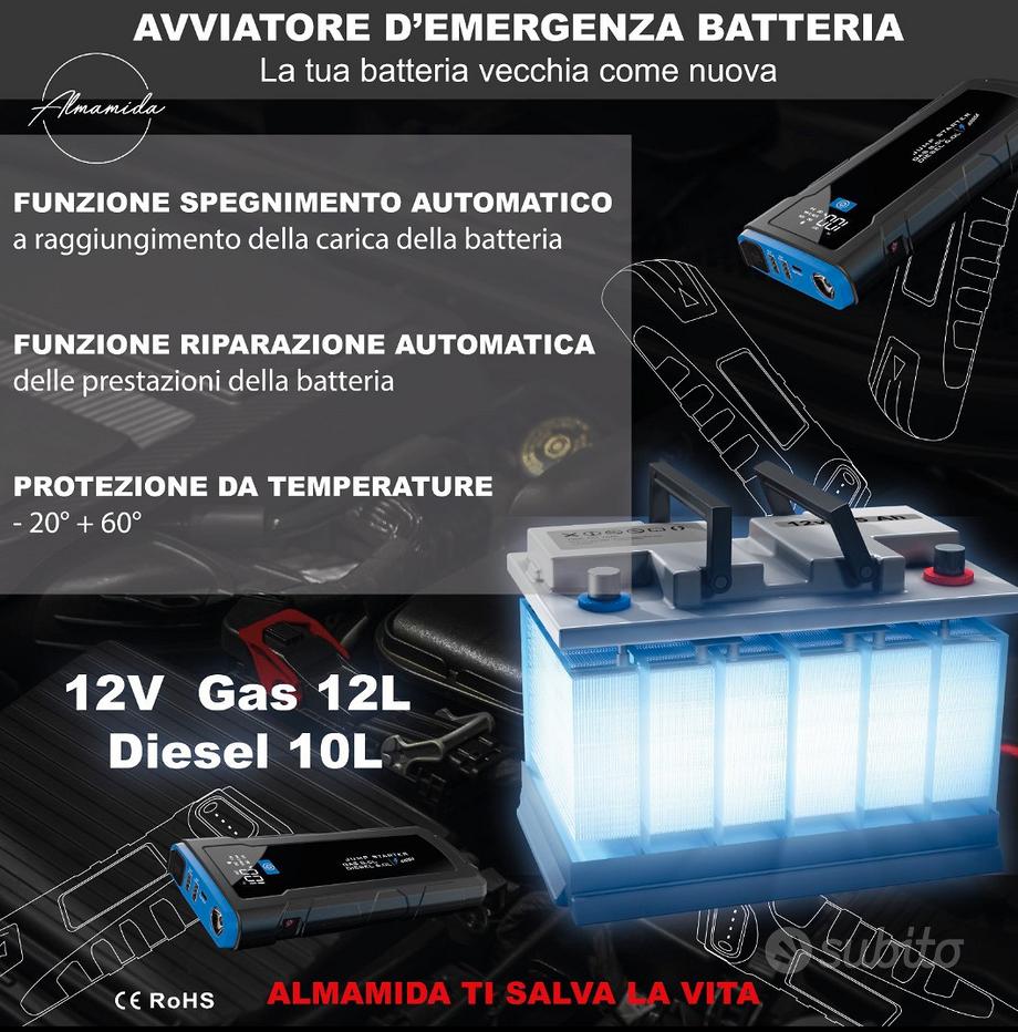 Avviatore professionale portatile (booster)12/24 V - Accessori Auto In  vendita a Napoli