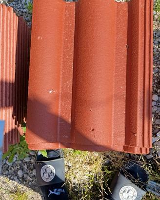 tegole romana wierer