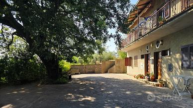 Trilocale a Montecchio