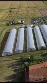 Tunnel Serre agricole