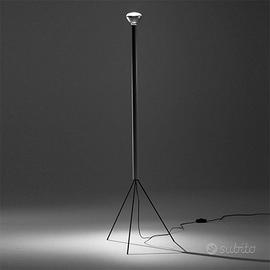 Flos luminator 