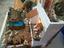 Immagine 2