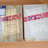 Libri Algebra di Giuseppe Zwirner
