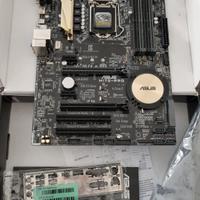 Scheda Madre Asus H170-PRO 