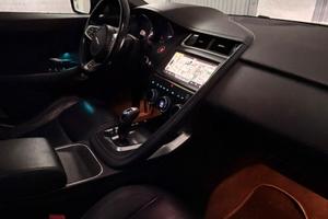 Jaguar e pace PERFETTA