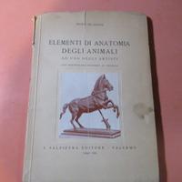libro arte 1942