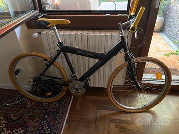 Bicicletta