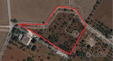 Terreno circa 8000mq con box prefabbricato e pozzo