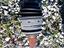 Immagine 11
