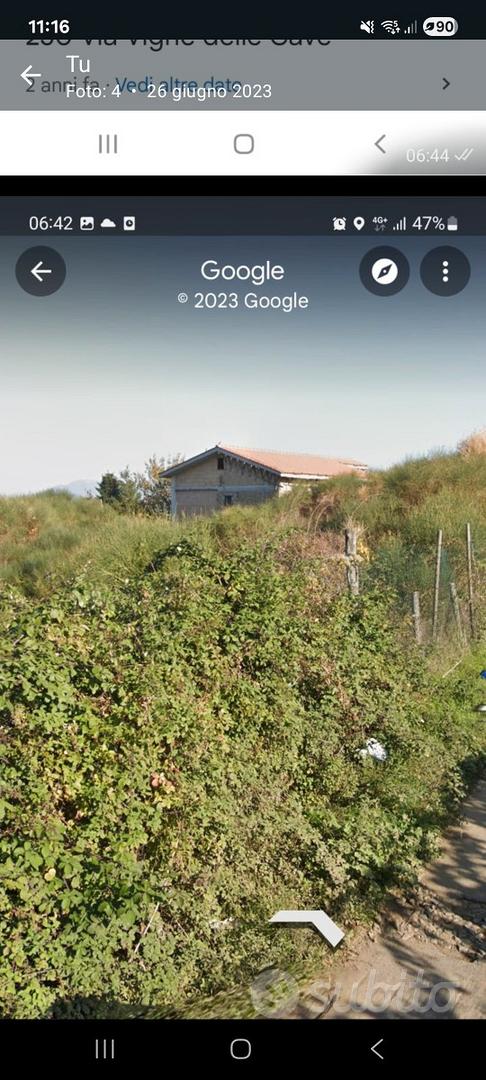 Terreno agricolo 7000 mt con ulivi - Vista 3