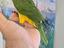 Immagine 2