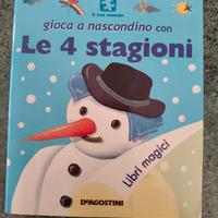 giochiin nascondiglio con 4 stagioni 