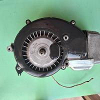 motore piaggio ciao bravo si boxer grillo cba ecco