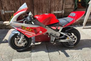 Minimoto Polini 910 ciclistica completa ruote 6,5