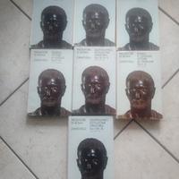 lotto 9 libri classici zanichelli