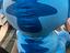 Immagine 3