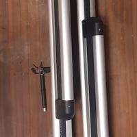 Coppia porta Sci Audi Q5.