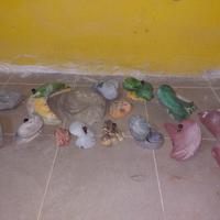 prese da arrampicata