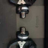 Favero assioma duo