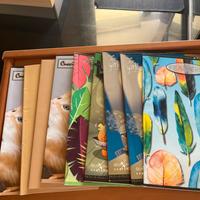 5 Quaderni a quadretti 4 Quaderni a righe