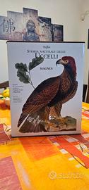 libro storia naturale degli uccelli 