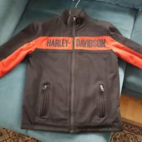 giubbotto vintage Harley Davidson 