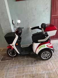 Triciclo elettrico