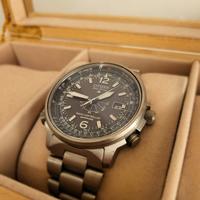 Citizen Promaster H461-T005527 Titanio