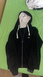 felpa lacoste