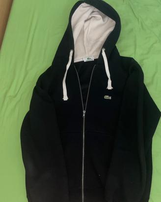 felpa lacoste