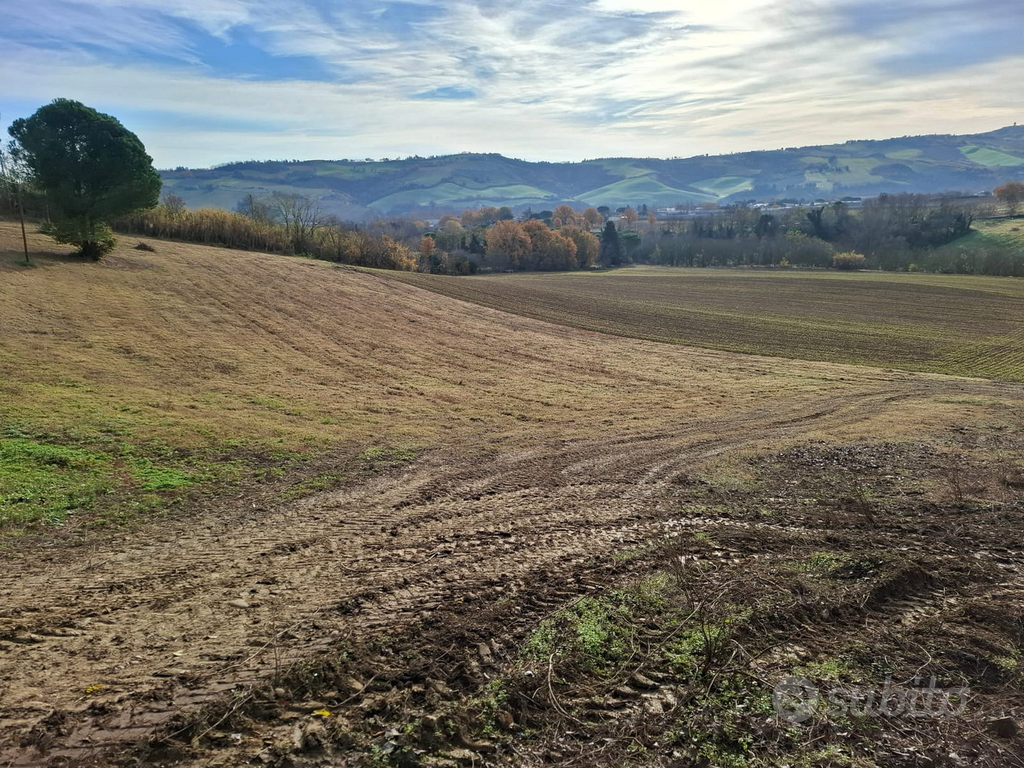 Terreno agricolo con edifici - Vista 5