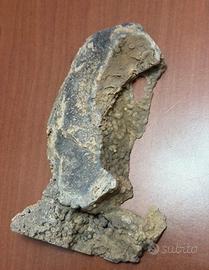Fetta di corallo fossile silificato