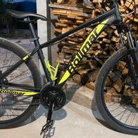 Bici mtb