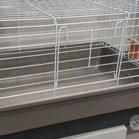 gabbia per coniglio 