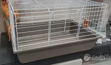 gabbia per coniglio 
