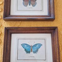 Quadro vintage Farfalla 