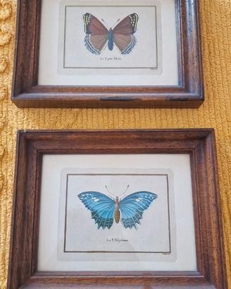Quadro vintage Farfalla 