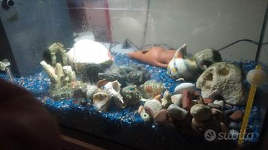 acquario 80litri
