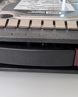 4 hard disk 1TB Western DigitalSATA 3.5 caddy HP