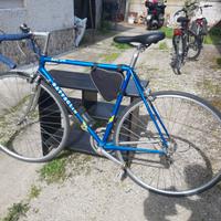 Bibocletta vintage battaglin
