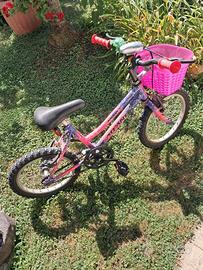 Bicicletta